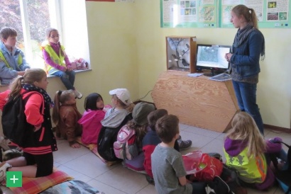 Kinder der Bertrada Grundschule beobachten Blaumeisen-Küken in der Infostätte Mensch und Natur