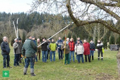 Teilnehmer eines Schnittkurses beim Sanierungsschnitt eines Obstbaumes <span class="copy">&copy; Naturpark Nordeifel e.V.</span>