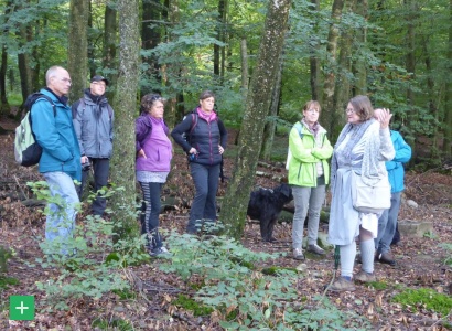 BNE-Aktionstage in Rheinland-Pfalz: Mit der Nebelfrau durch die Schneifel <span class="copy">&copy; Naturpark Nordeifel</span>