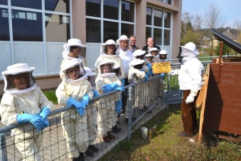 Besuch der Schulbienen