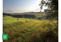 Blick auf das Ihrenbachtal <span class="copy">&copy; TI Prümer Land / S. Wiesen</span>