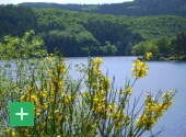 Der Rursee. Copyright: Naturpark Nordeifel e.V.