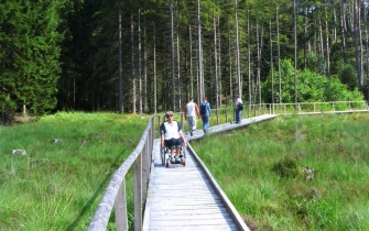 Der barrierefreie Bohlensteg ist jetzt auch für Rollstuhlfahrer zugänglich <span class="copy">&copy; Naturpark Eifel</span>