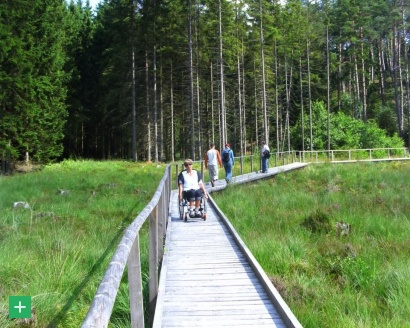 Der barrierefreie Bohlensteg ist jetzt auch für Rollstuhlfahrer zugänglich <span class="copy">&copy; Naturpark Eifel</span>