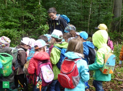 Exkursion zur Krausbuche in der Schönecker Schweiz <span class="copy">&copy; Naturpark Nordeifel e.V.</span>