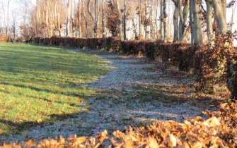 Flurhecken bei Eicherscheid <span class="copy">&copy; Naturpark Nordeifel e.V.</span>