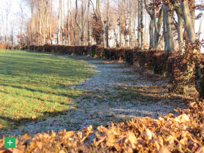Flurhecken bei Eicherscheid <span class="copy">© Naturpark Nordeifel e.V.</span>