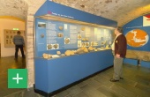 Fossilienausstellung <span class="copy">&copy; Eifelmuseum</span>