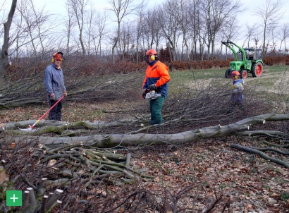 Harte handwerkliche Arbeit sind die Pflegemaßnahmen an der Buchenflurhecken <span class="copy">&copy; Naturpark Nordeifel</span>