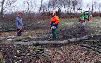 Harte handwerkliche Arbeit sind die Pflegemaßnahmen an der Buchenflurhecken <span class="copy">&copy; Naturpark Nordeifel</span>