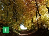 Herbst in Monschau-Höfen. Copyright: VDN / W. Heinz