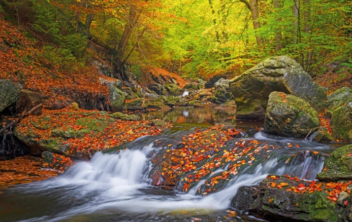 Kaskaden im Herbstwald