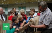 Kinder betrachten Schaf <span class="copy">&copy; LVR-Freilichtmuseum Kommern</span>