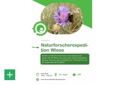 Naturforscherexpedition Wiese