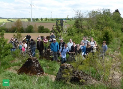 Neugierig inspizieren die Amerikaner die Höckerlinie in der Nähe von Scheid <span class="copy">&copy; Naturpark Eifel</span>