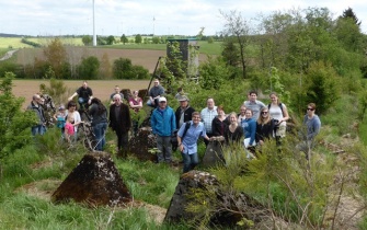 Neugierig inspizieren die Amerikaner die Höckerlinie in der Nähe von Scheid <span class="copy">&copy; Naturpark Eifel</span>