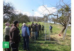 Professionelle Anleitung zur Schnittpflege <span class="copy">© Naturpark Nordeifel e.V.</span>