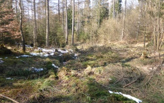 Renaturierte Quelle im Einzugsgebiet des Mehlenbachs bei Prüm <span class="copy">&copy; Naturpark Nordeifel e.V.</span>