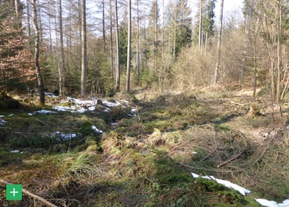 Renaturierte Quelle im Einzugsgebiet des Mehlenbachs bei Prüm <span class="copy">&copy; Naturpark Nordeifel e.V.</span>