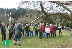 Teilnehmer eines Schnittkurses beim Sanierungsschnitt eines Obstbaumes <span class="copy">&copy; Naturpark Nordeifel e.V.</span>