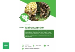 Wabenwunder <span class="copy">&copy; SFZ Prümer Land</span>