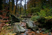 Waldbrücke bei Ternell