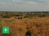 Wandern im Hohen Venn. Copyright: VDN / D. Neidhardt