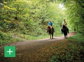 Wanderreiten im Deutsch-Belgischen Naturpark. Copyright: Naturpark Nordeifel e.V.