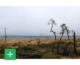 Was genau bedeuten Grenzen?