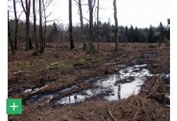 Wiedervernässung im Eschfenn <span class="copy">&copy; Naturpark Nordeifel</span>