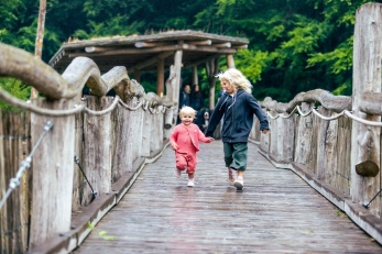 Wilder Weg im Nationalpark Eifel