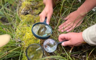 <span class="copy">© Naturpark Nordeifel e.V. / M. Scholzen</span>