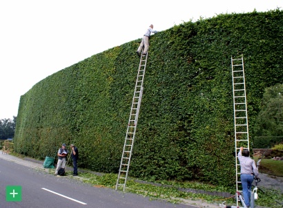  <span class="copy">&copy; Naturpark Nordeifel</span>