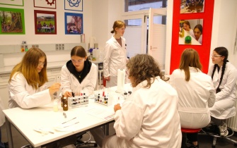  <span class="copy">&copy; SFZ Prümer Land</span>